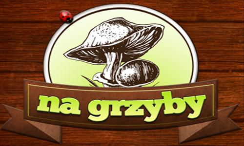 gra na grzyby 001