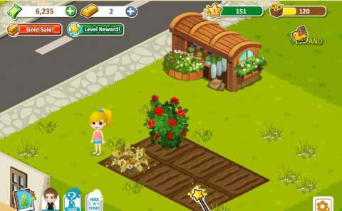 flower shop 002 flower shop 002