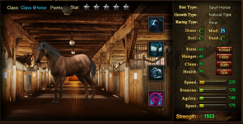 profil konia profil konia