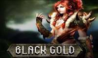 Punisher (Aegis of Isenhorst) pojawił się w Black Gold Online