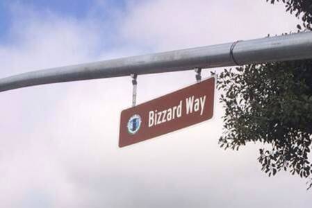 Bizzard Way