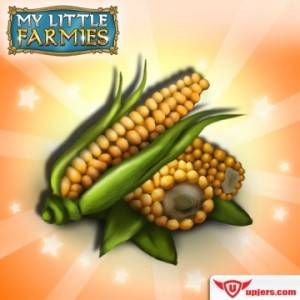 Sadzimy kukurydzę w My Little Farmies