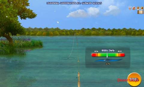 fish pro game 001