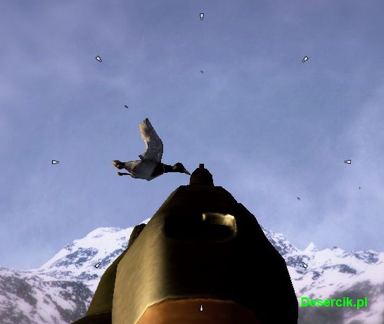 kaczka jak nie celować kaczka jak nie celować