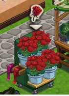 ChefVille róże