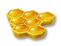 Plaster Miodu (Honeycomb)