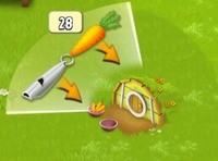 Króliki i marchewki w Hay Day