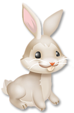 White_Bunny