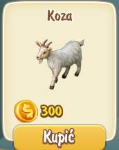 Koza