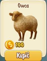 Owca
