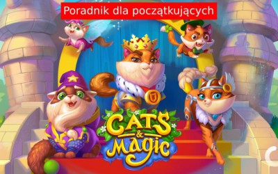 Cats & Magic: Dream Kingdom – Poradnik dla nowych graczy