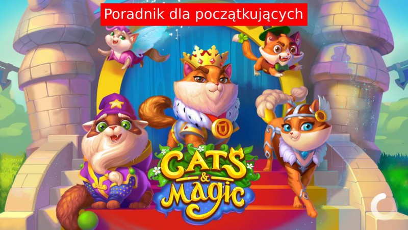 Cats & Magic: Dream Kingdom – Poradnik dla nowych graczy