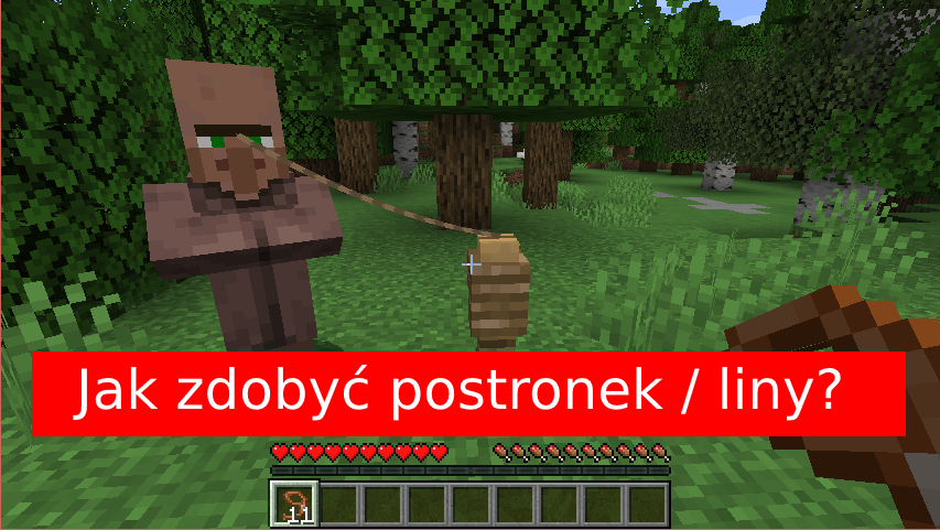 Jak zrobić linę / postronek / smycz w Minecraft?