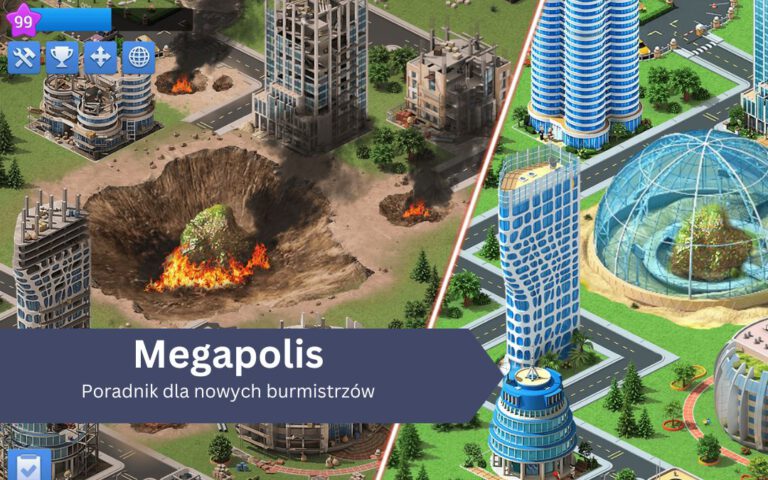 Megapolis &ndash; poradnik dla nowych burmistrz&oacute;w