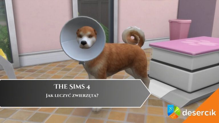 The Sims 4 &ndash; Jak leczyć zwierzęta