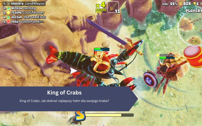 King of Crabs: Jak dobrać najlepszy hełm dla swojego kraba?