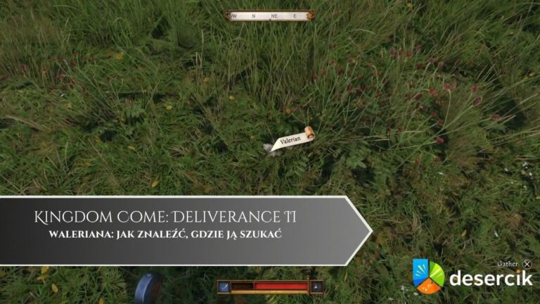 Kingdom Come Deliverance 2 – waleriana: jak znaleźć, gdzie ją szukać