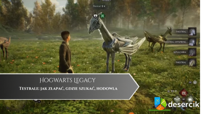 Hogwarts Legacy – Testrale: jak złapać, gdzie szukać, hodowla