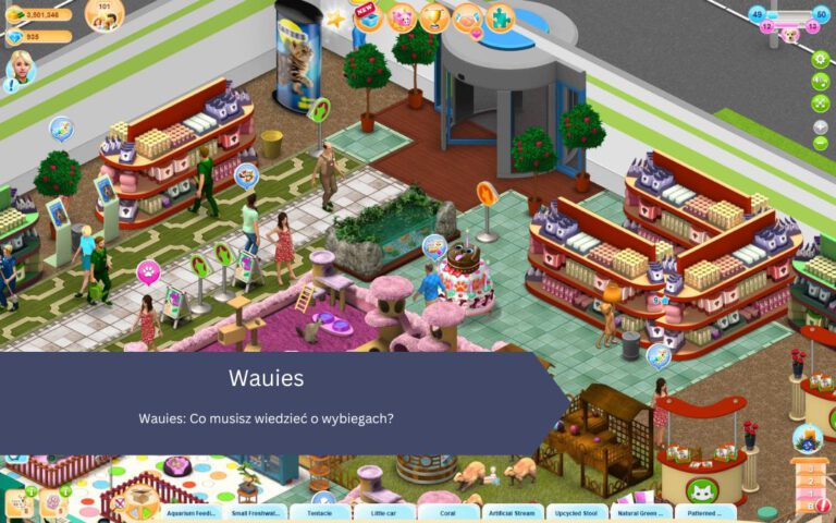 Wauies: Co musisz wiedzieć o wybiegach?