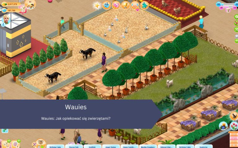 Wauies: Jak opiekować się zwierzętami?