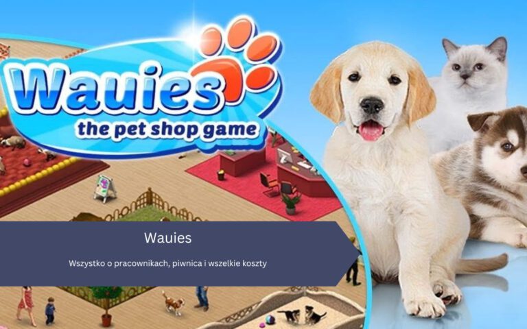 Wauies: Wszystko o pracownikach, piwnica i wszelkie koszty