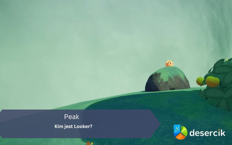 PEAK – Kim jest Looker?