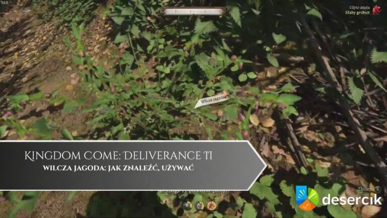 Kingdom Come: Deliverance 2 – wilcza jagoda: jak znaleźć, używać