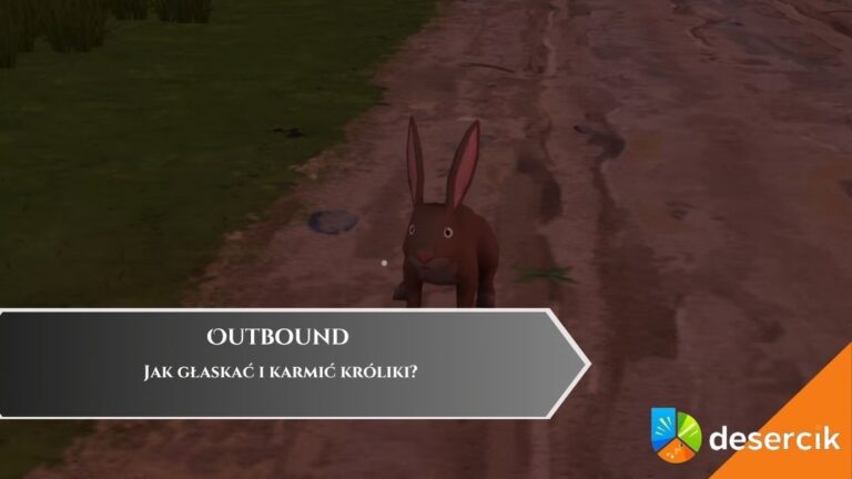 Outbound &ndash; Jak głaskać i karmić kr&oacute;liki